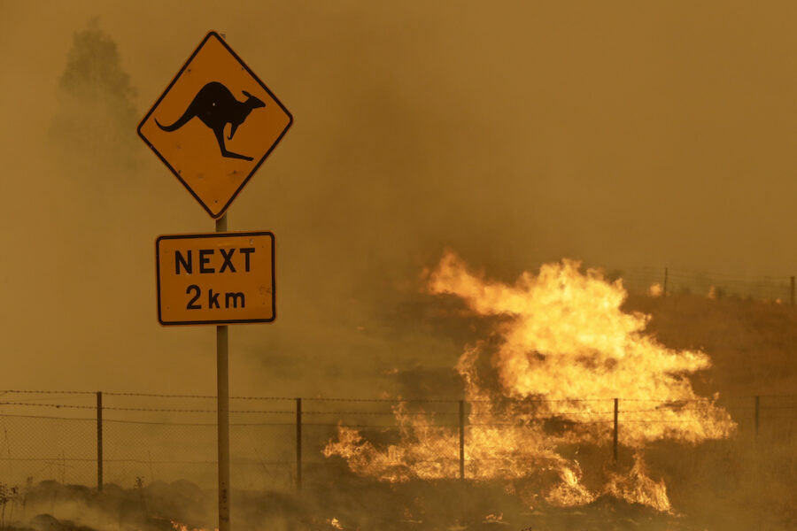 Klimatkrisen gör att bränderna i Australien inträffar oftare och är mer omfattande än förr.
