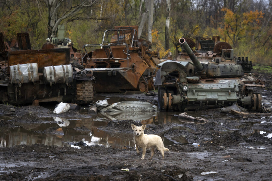 En hund står framför förstörda ryska stridsvagnar som läcker giftiga ämnen och bränslen ut i naturen.
