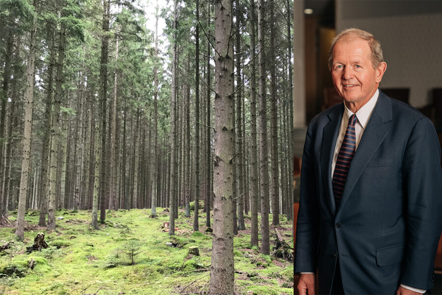Marcus Wallenberg, ordförande för Kungliga Ingenjörsvetenskapsakademien (Iva)  tycker att regeringen måste arbeta hårdare för mindre EU-styrning av svensk skog.