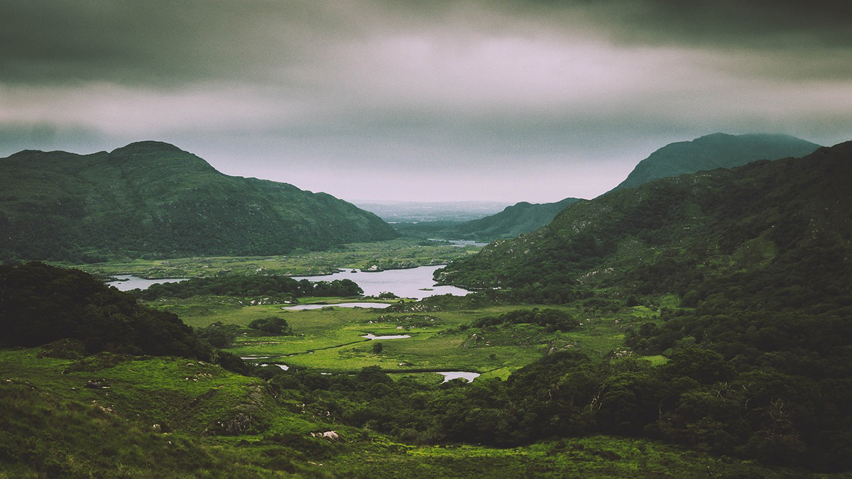 Irland vill satsa sig upp från EU:s jumboplats i skogsareal.