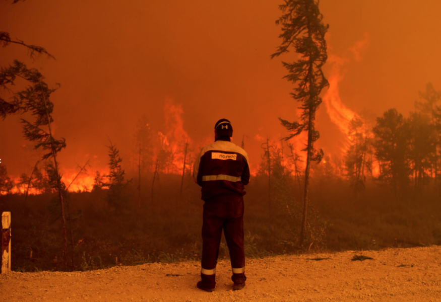 Bränderna i Sibirien har de senaste åren varit av en aldrig tidigare skådad omfattning.