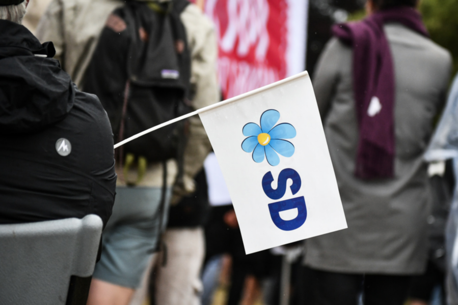 Tolv lokalpolitiker för Sverigedemokraterna i Klippan kan uteslutas.