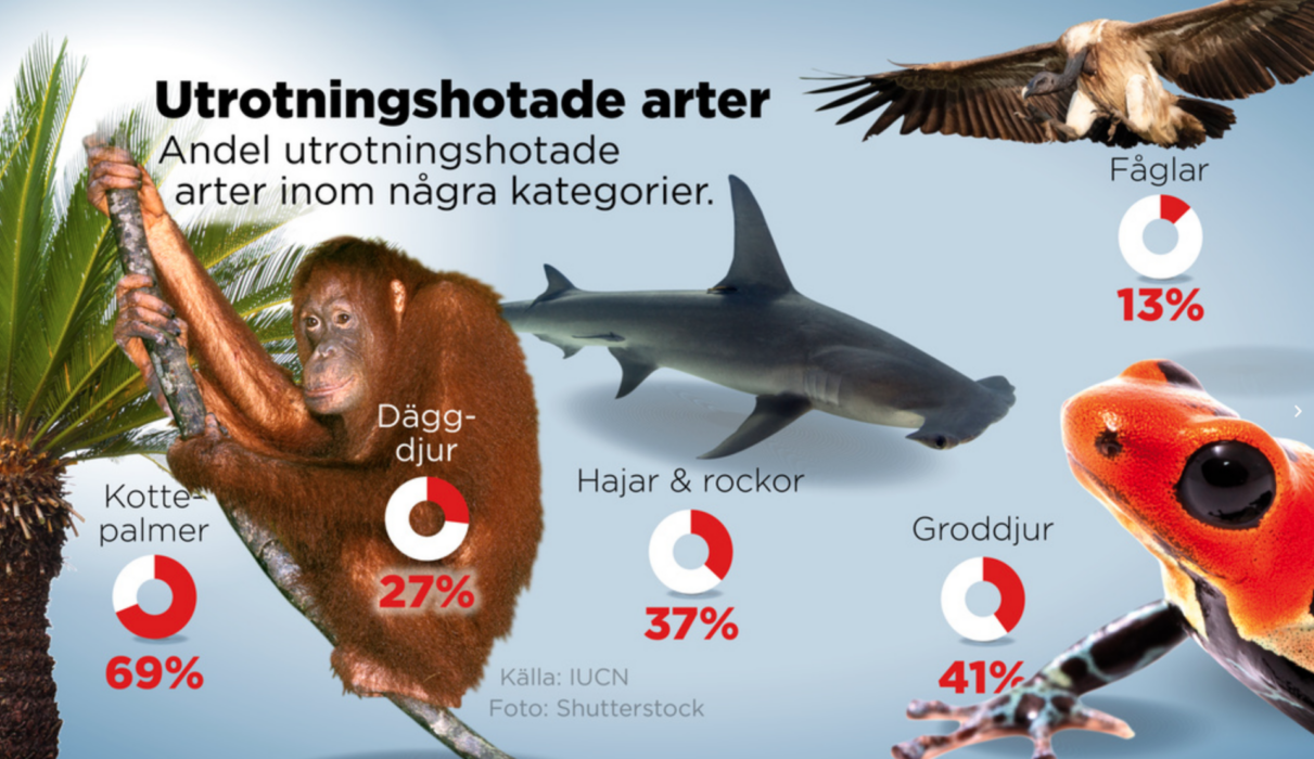 Andel utrotningshotade arter inom några utvalda kategorier av djur och växter.