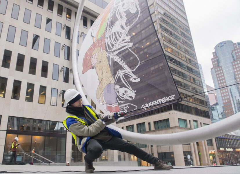 En aktivist från Greenpeace sätter uppe en banderoll med texten "Skydda naturen, skydda livet" på en gata i Montreal tidigare i veckan.