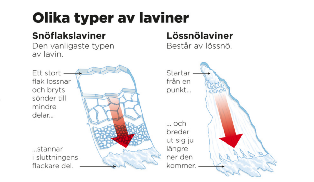 Snöflakslaviner och lössnölaviner.