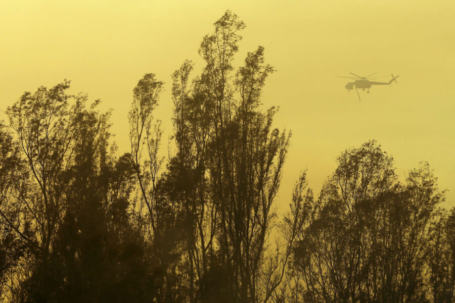 Skogsbränder i Ukraina har ökat med 150, enligt Olha Tarasenko, Ecoaction.