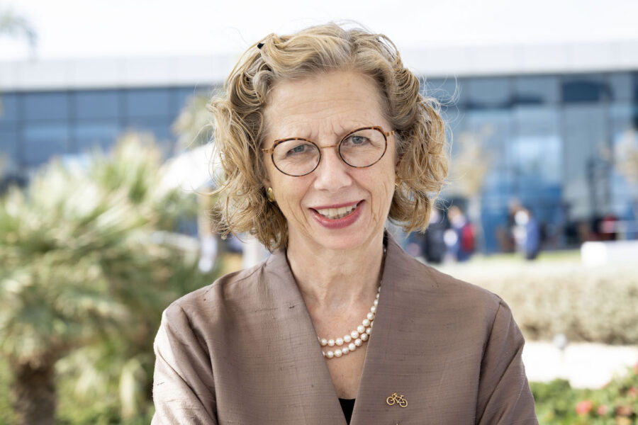 Inger Andersen är chef för FN:s miljöprogram UNEP.