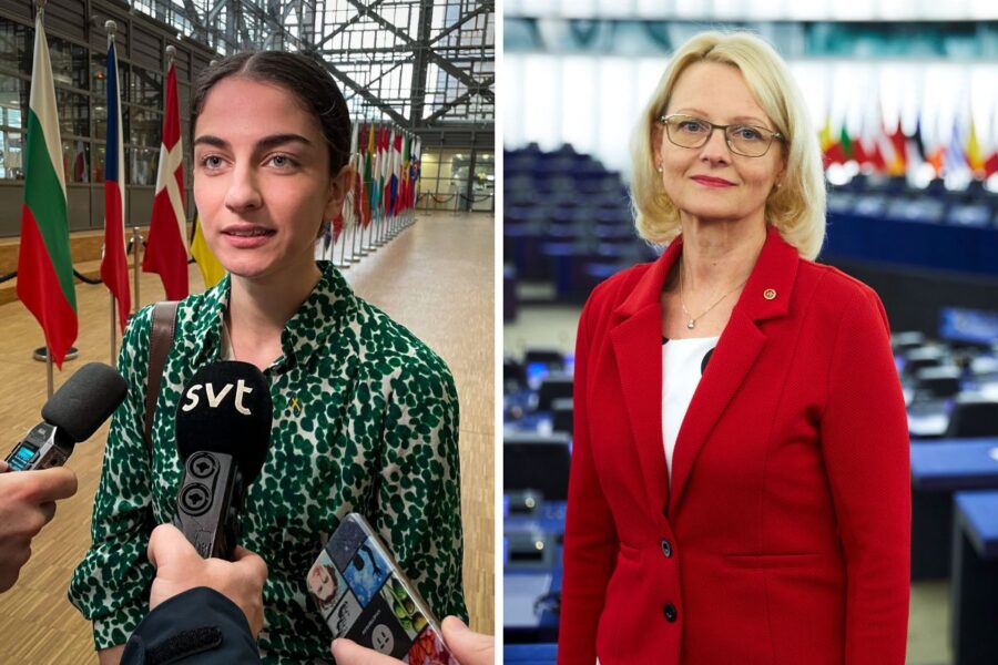Klimat- och miljöminister Romina Pourmokhtari (L) var först ut bland de svenska ministrarna att frågas ut i EU:s utskott inför vårens svenska ordförandeskap.