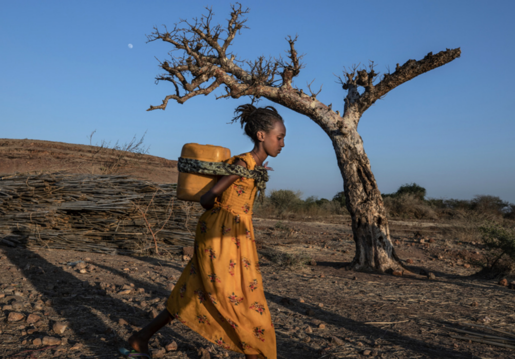 En kvinna på flykt från Tigray-regionen, där det har lugnat ned sig efter en av de senaste årens blodigaste konflikter som enligt vissa uppskattningar krävt hundratusentals människoliv.