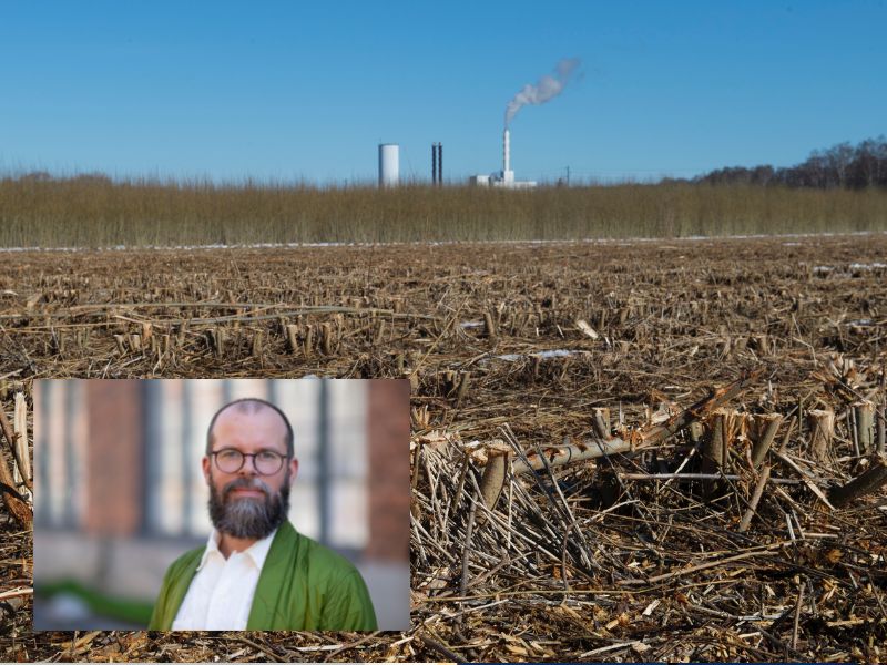 Markus Mattisson, kampanjledare för Greenpeace, vill att Sveriges totala utsläpp av koldioxid ska minska, inte bara de med fossilt ursprung.