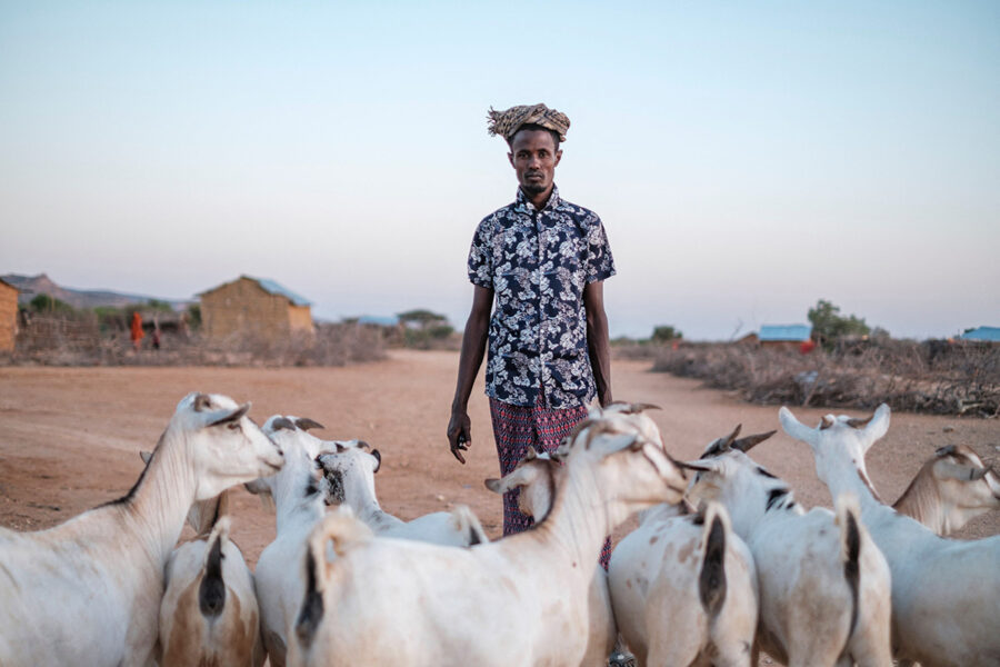 Bele Kalbi Nur med sina getter i byn El Gel i östra Etiopien.