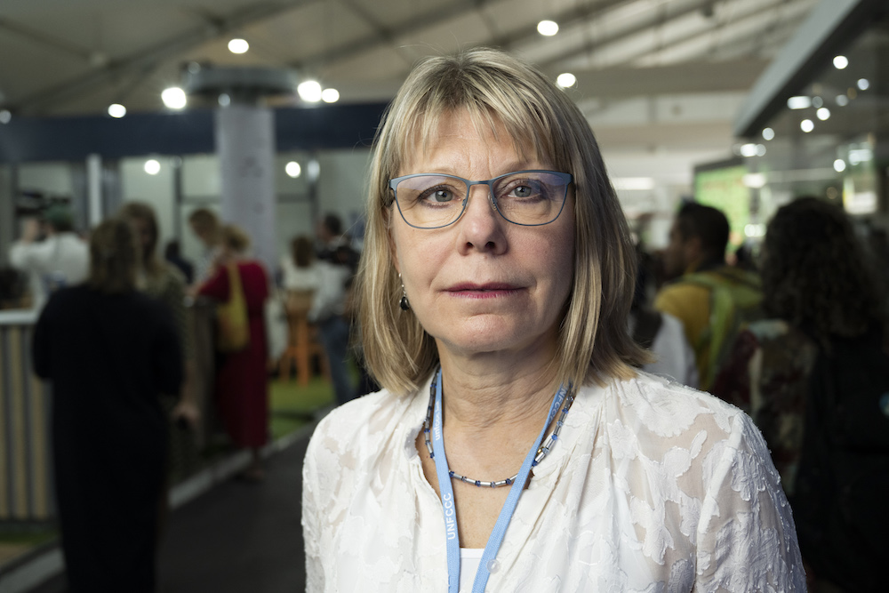 Karin Lexén, generalsekreterare Naturskyddsföreningen