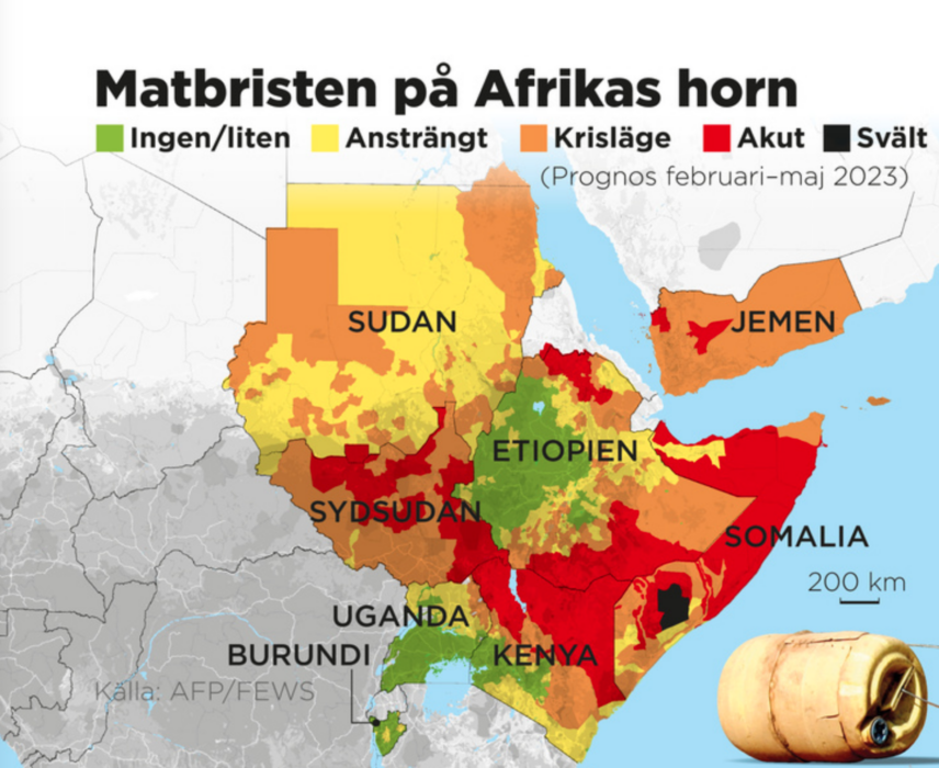 Över 20 miljoner människor riskerar att svälta och mer än 5 miljoner barn är akut undernärda på grund av torkan.