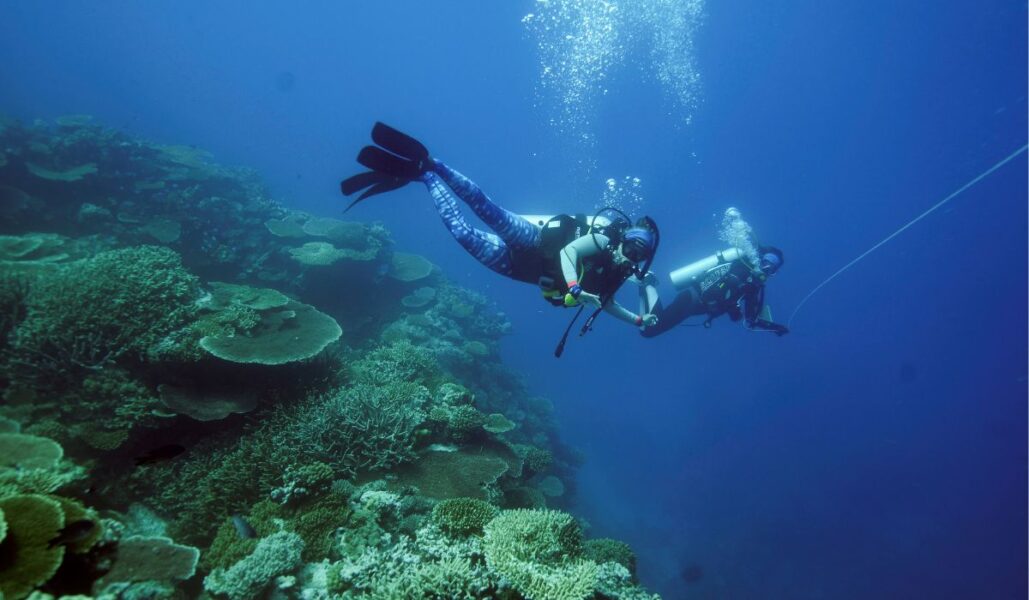Korallblekning – en av följderna av att världshavet nu värms upp.