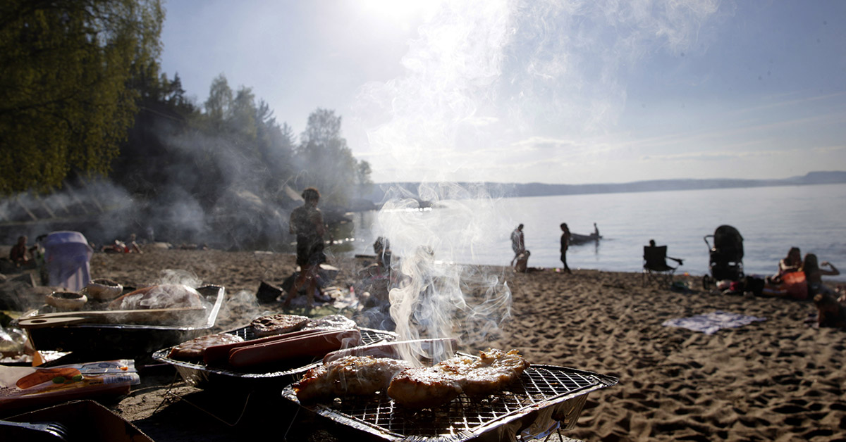 Bilder av naturen blir till samhälleliga normer – men naturens kretslopp är en beskrivning, inte en föreskrift.
