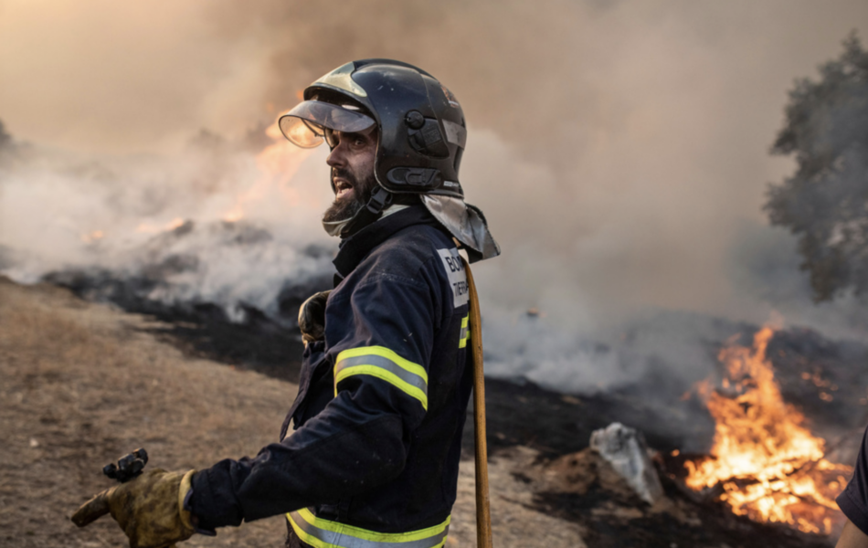 Under förra sommaren härjade omfattande skogsbränder i flera länder i Europa.
