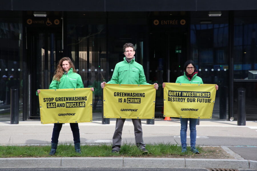 Flera Greenpeaceorganisationer lämnade under tisdagen in en stämningsansökan till EU-domstolen i Luxemburg.