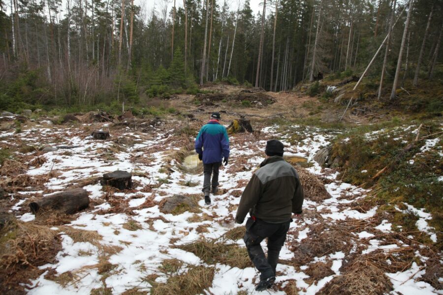 Inte långt från Astrid Lindgrens hemtrakter finns vad som tros vara Götalands största sammanhängande naturskog.