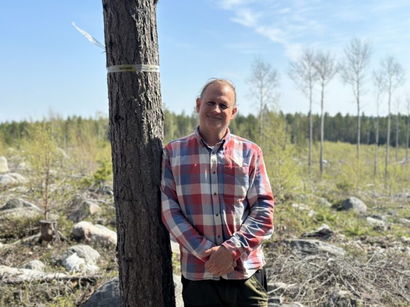 Carl Schlyter, kampanjledare på Greenpeace, vill visa runt EU:s skogsansvariga och informera om det dystra läget när det kommer till miljöarbetet inom svenskt skogsbruk.