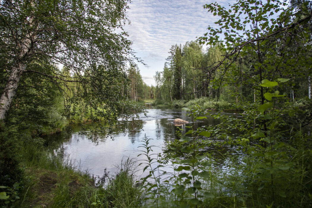 Att skydda 30 procent av land och hav är ett av målen i det globala ramverket för biologisk mångfald.