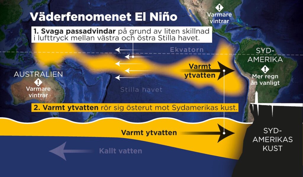 El Niño är ett väderfenomen som uppstår med ett intervall på två till sju år.