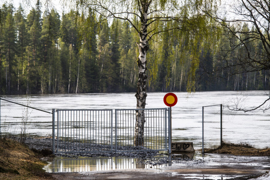 Vårfloden i nedre Tornälven beskrivs som extrem, och SMHI har utfärdat röda varningar.