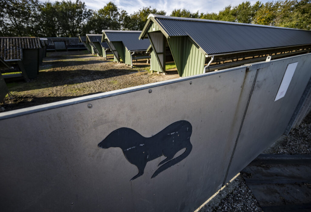 Minkstallarna i väntan på rivning i danska Naestved.