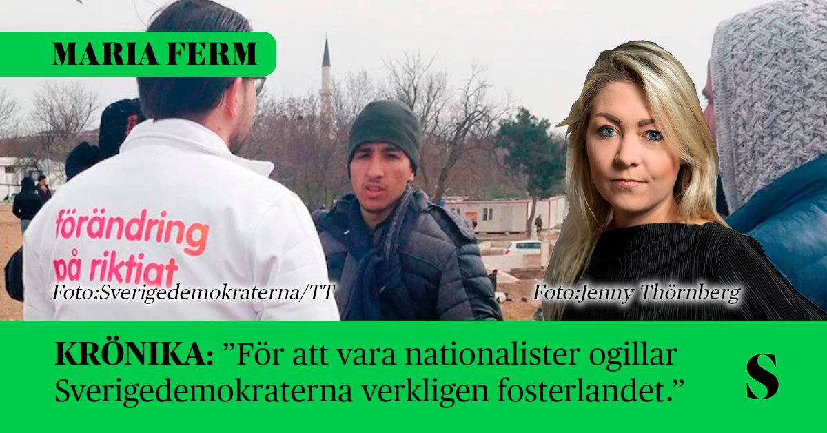 På bilden ser vi Jimmie Åkesson smutskasta Sverige vid turkiska gränsen.