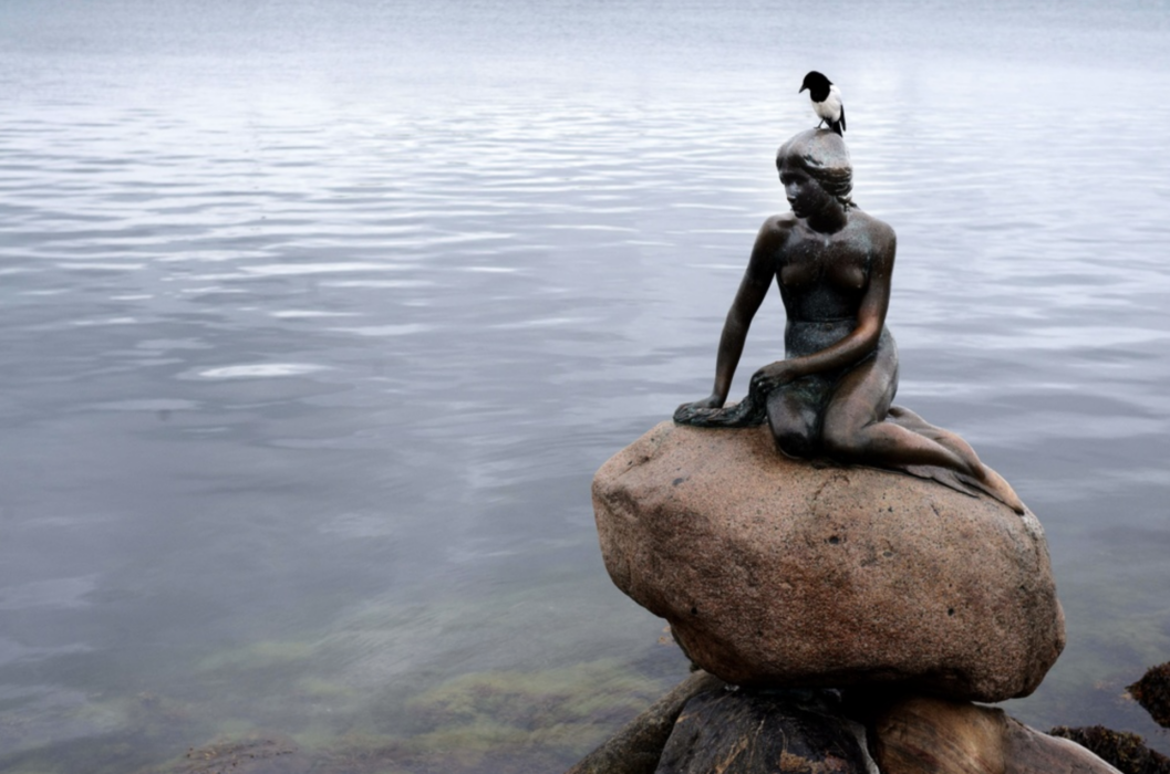 Danskarna är de i Norden som känner mest oro för klimatet, visar en undersökning.