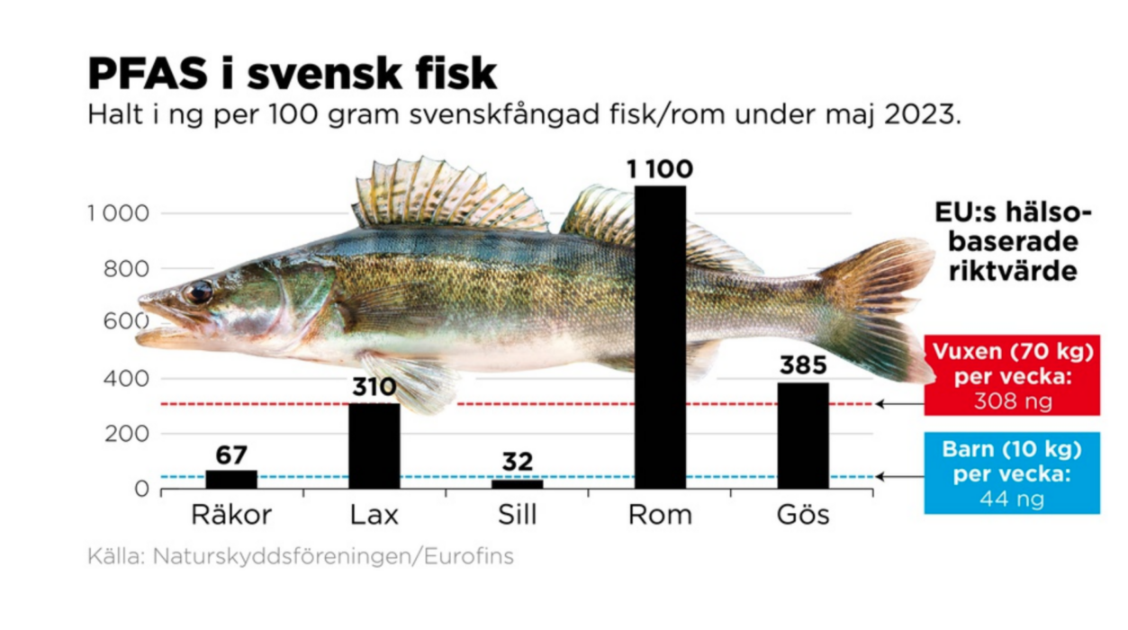 Halt i ng per 100 gram svenskfångad fisk/rom under maj 2023.