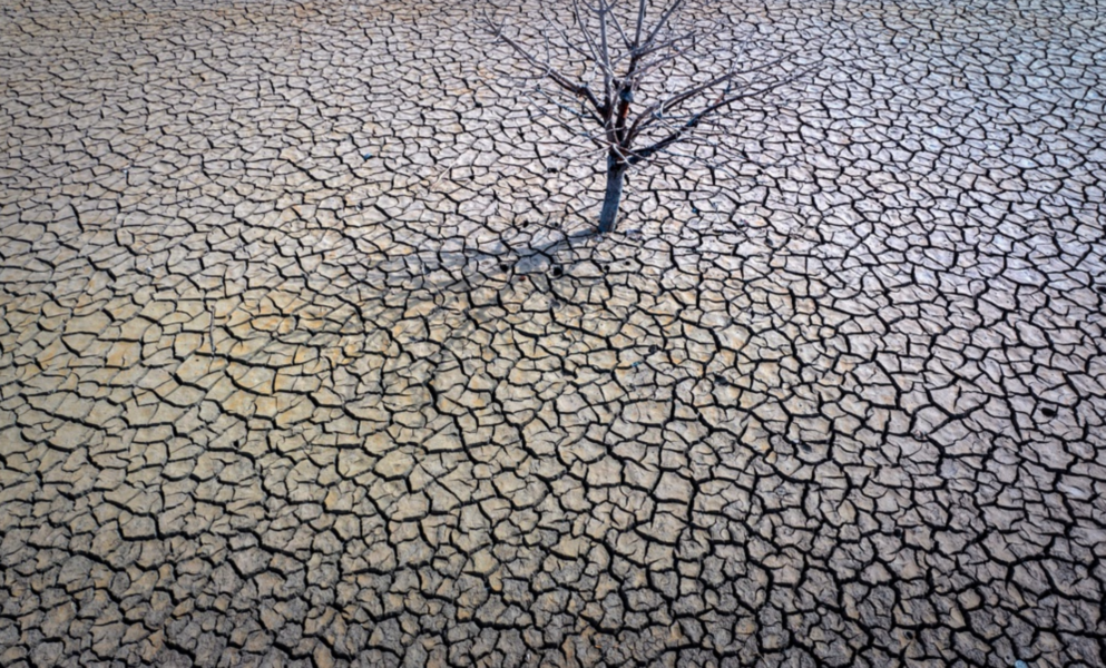 Torr, sprucken jord i reservoaren Sau norr om Barcelona i mars.
