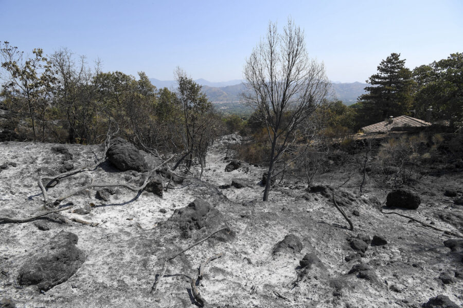 Skogsbränder är en av de extrema väderhändelser som riskerar att skynda på ökenspridningen på Sicilien.