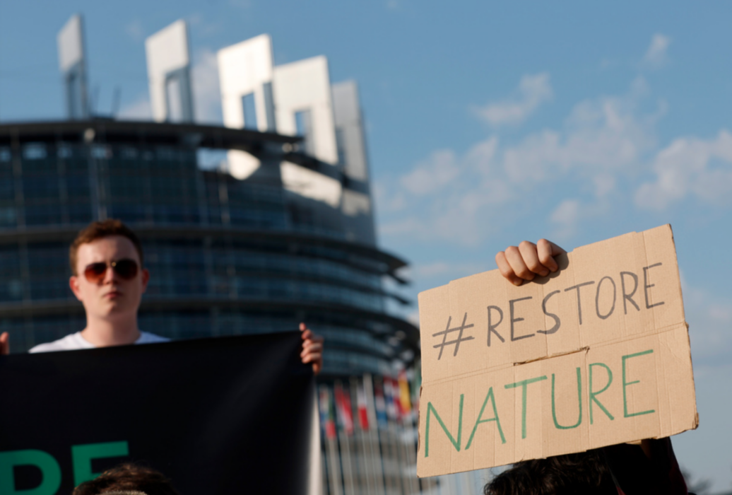 Klimataktivister demonstrerar i Strasbourg inför onsdagens omröstning om förslaget till naturrestaureringslag.