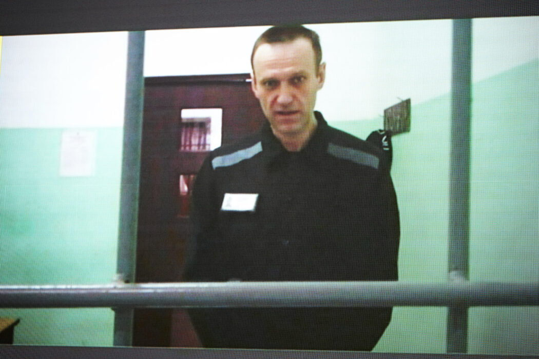Aleksej Navalnyj i juni under ett förhör över videolänk.
