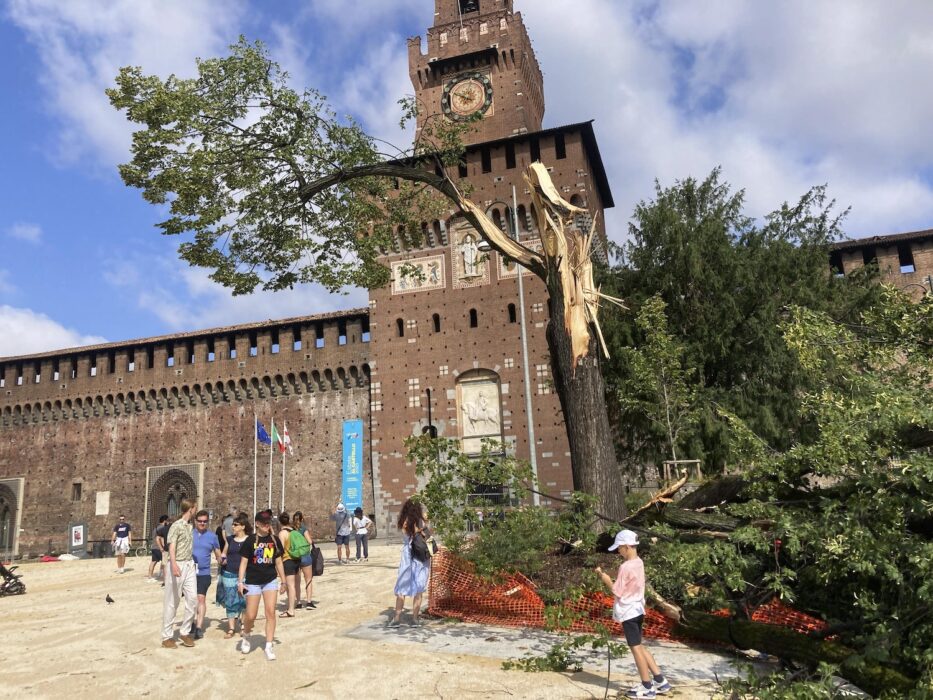 Milano har den senaste tiden drabbats av stormar, ovanligt stort hagel och en mängd nedfallna träd som följd.