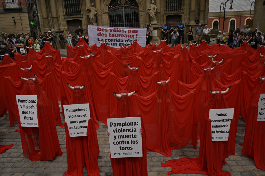 Dagen innan San Fermín protesterade djurrättsaktivister iklädda rött och tjurhorn mot våldet som tjurarna utsätts för under den makabra traditionen.