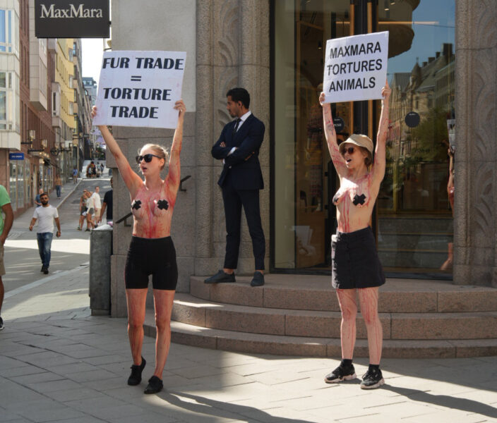 Gruppen har protesterat topless flera gånger tidigare utan att bli misstänkta för något brott.