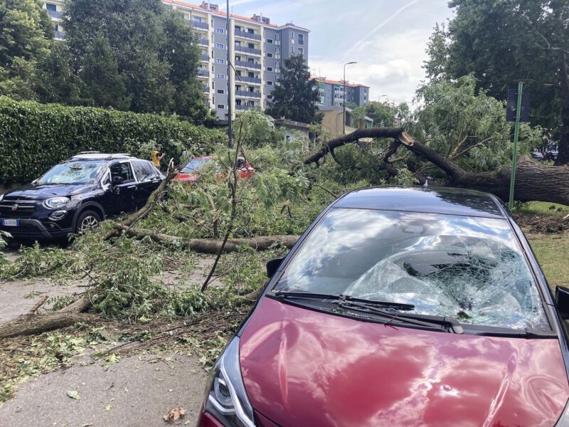 En bil som träffats av ett träd under stormen i Milano.