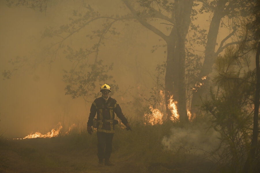 Stora skogsbränder drabbade södra Europa under den heta och torra sommaren 2022.