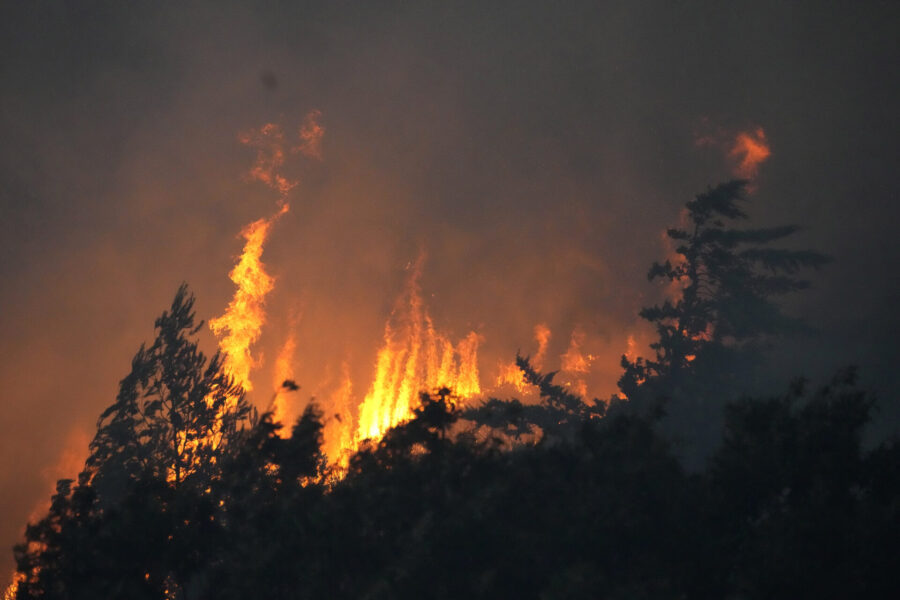  Skogsbränder rasar i Portugal.