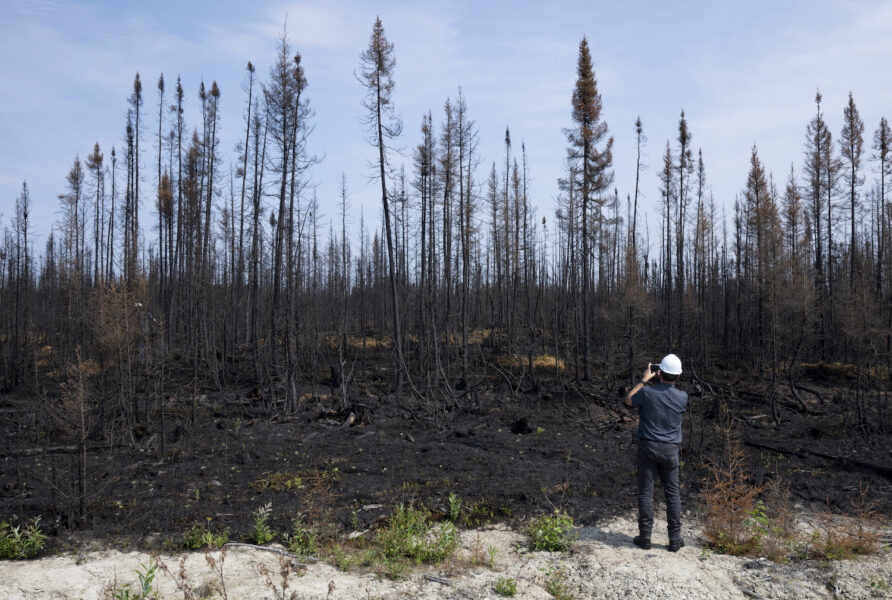 Eldhärjad skog i närheten av Lebel-sur-Quevillon i provinsen Quebec.