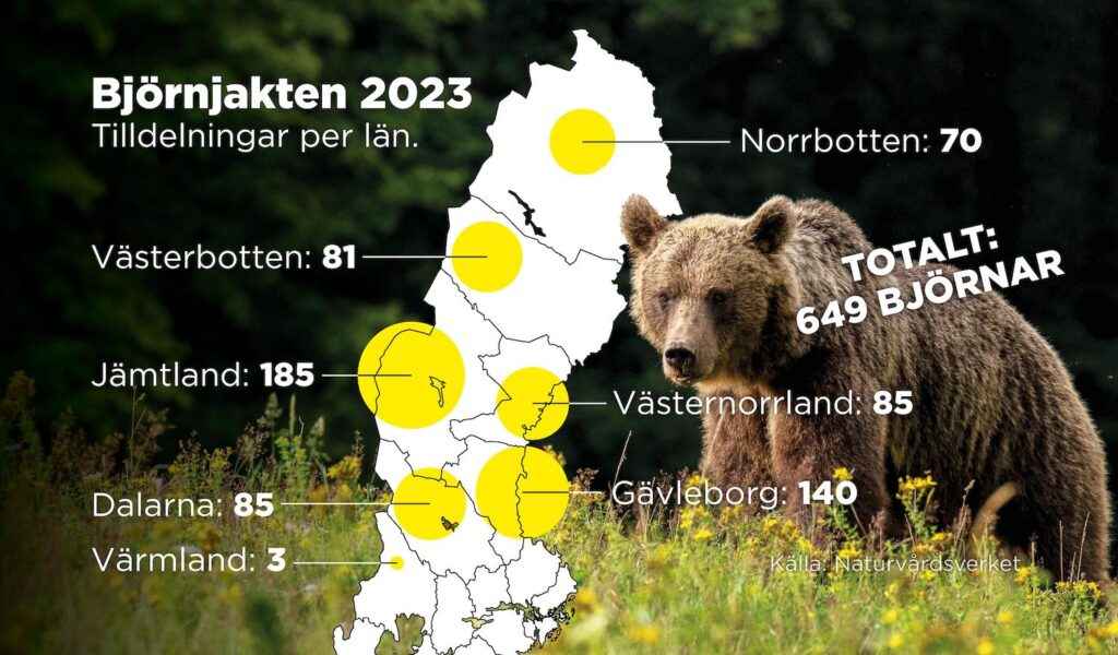 Licensjakt på björn 2023, tilldelning per län.