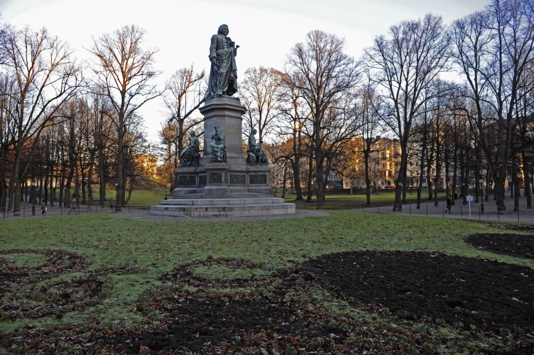 Planer finns på att sänka delar av Humlegården i Stockholm för att bättre kunna fånga upp och omleda stora mängder regnvatten.