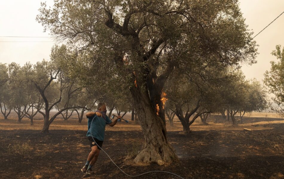 Stora skogsbränder härjar i nordöstra Grekland.