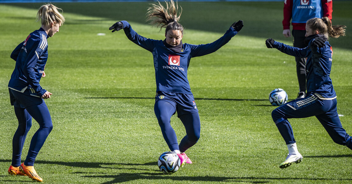 Det svenska landslaget tränar inför landskamperna på Eledastadion i Malmö i april i år.