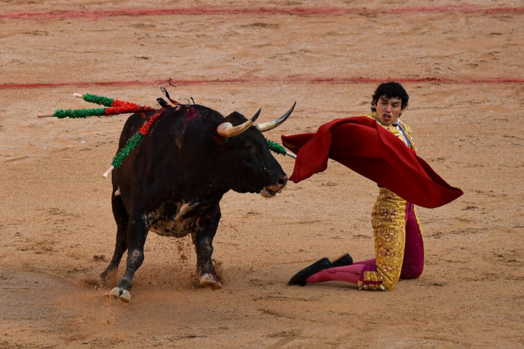 Tjurfäktning under San Fermín-festivalen i Pamplona i år.