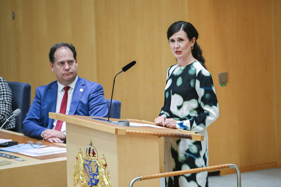 Miljöpartiets språkrör Märta Stenevi (MP) anklagade i partiledardebatten en stor del av riksdagsledamöterna för att sitta och sova.