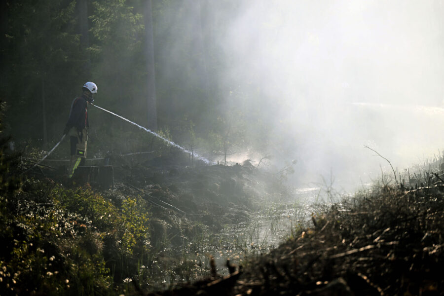 Skarpare rutiner och ökad kunskap har bidragit till att landet blivit bättre på att bekämpa skogsbränder.