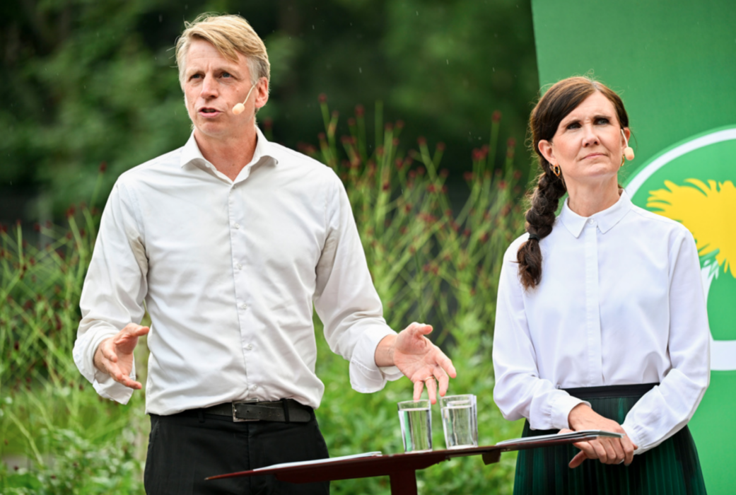 Över tio personer har sagt att de vill efterträda Bolund, däribland EU-parlamentarikern Pär Holmgren, polisen Martin Marmgren och kommunalrådet Magnus P Wåhlin.