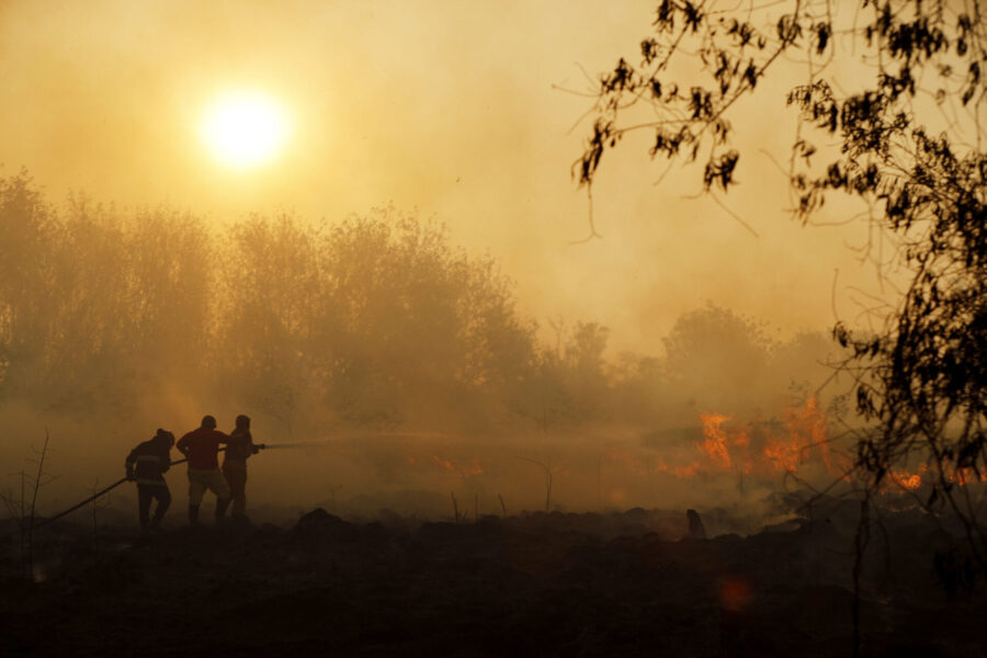 Skogsbränder är en av flera saker som tros öka som följd av klimatförändringarna.